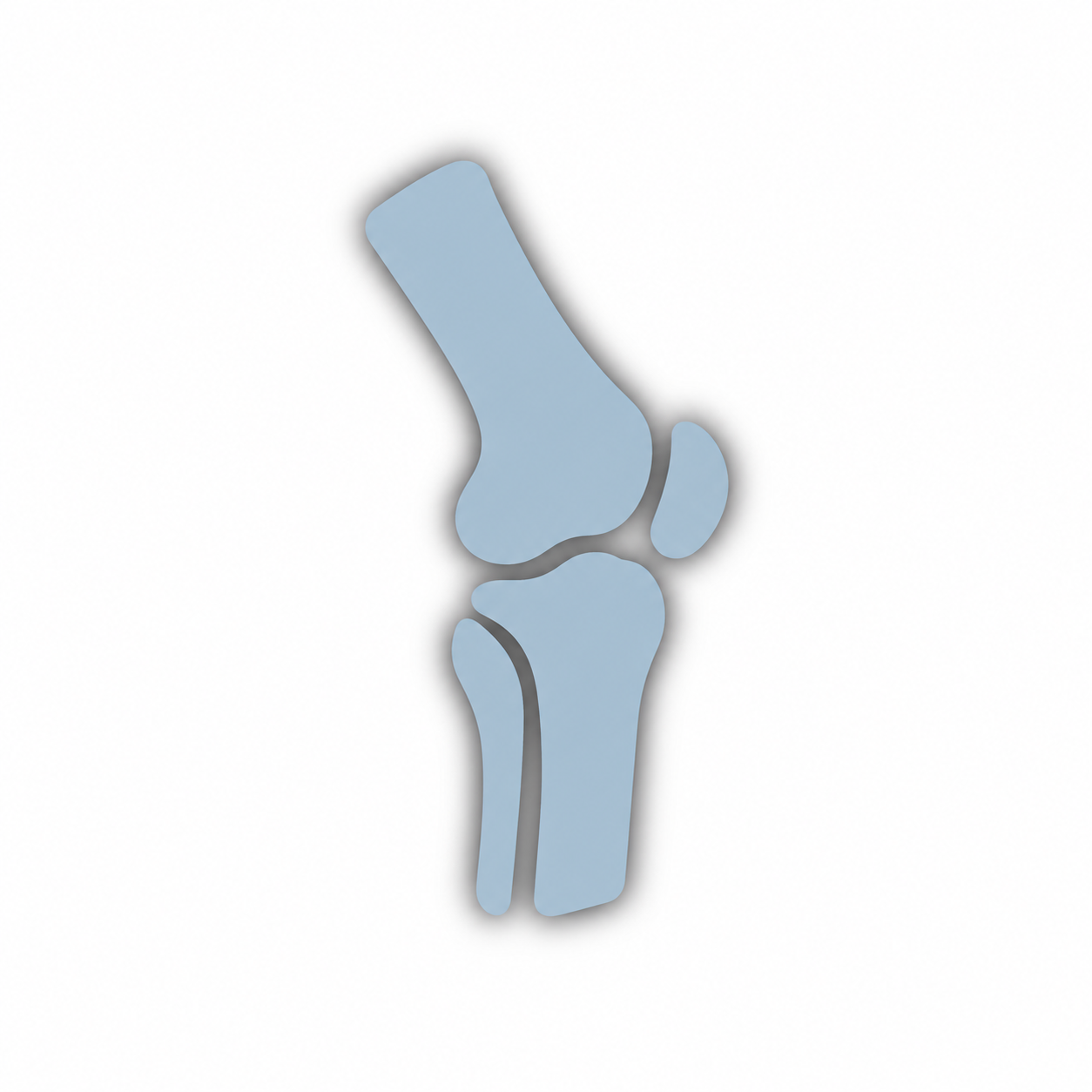 Fisioterapia e riabilitazione · Immagine della professione
